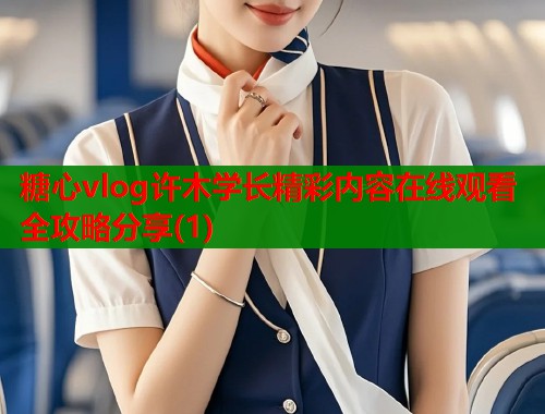 糖心vlog许木学长精彩内容在线观看全攻略分享(1)